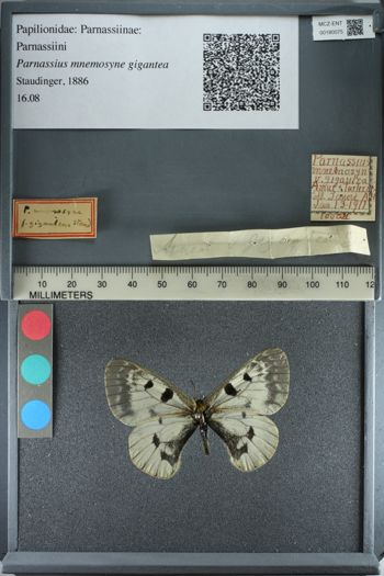 Media type: image;   Entomology 180075